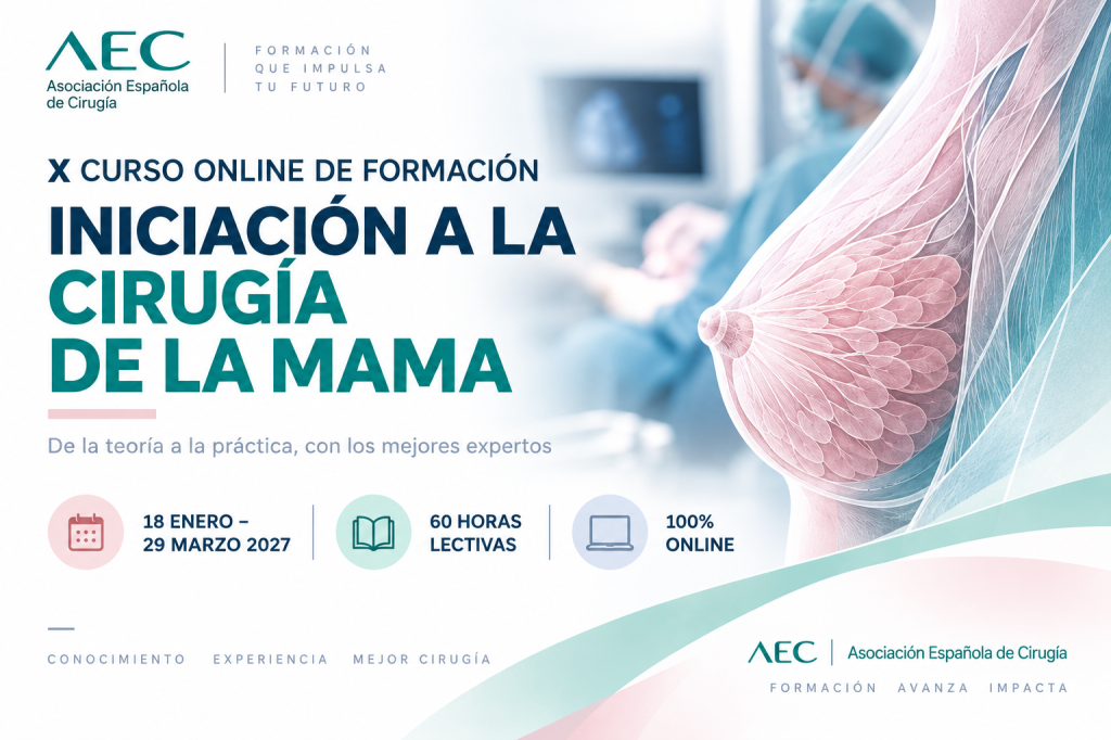 X Curso de Iniciaci&oacute;n a la Cirug&iacute;a de la Mama Online 2027
