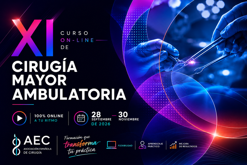 XI Curso On Line de Cirug&iacute;a Mayor Ambulatoria 2026