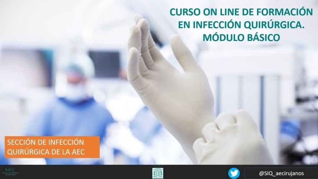 IV Curso Online de Formación en Infección Quirúrgica. Módulo Básico. 2026 