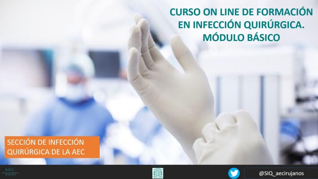 II Curso On line de Formación en Infección Quirúrgica. Módulo Básico. 2024