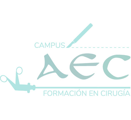  LXXXV Curso DSTC  Las Palmas 2023