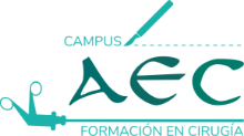Mapa Web | aec-campus.es