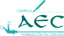 Curso online avanzado de seguridad del paciente quirúrgico 2021 | aec-campus.es